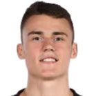 迪米特里耶维奇