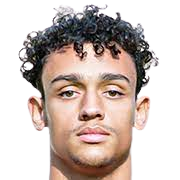 加尔韦斯-迪亚拉